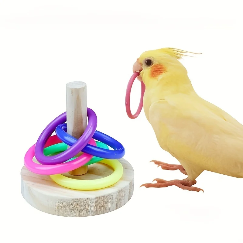 Ahşap Interaktif Papağan Halka - Gymnastic Ring Wood incelemesi ve fiyatı